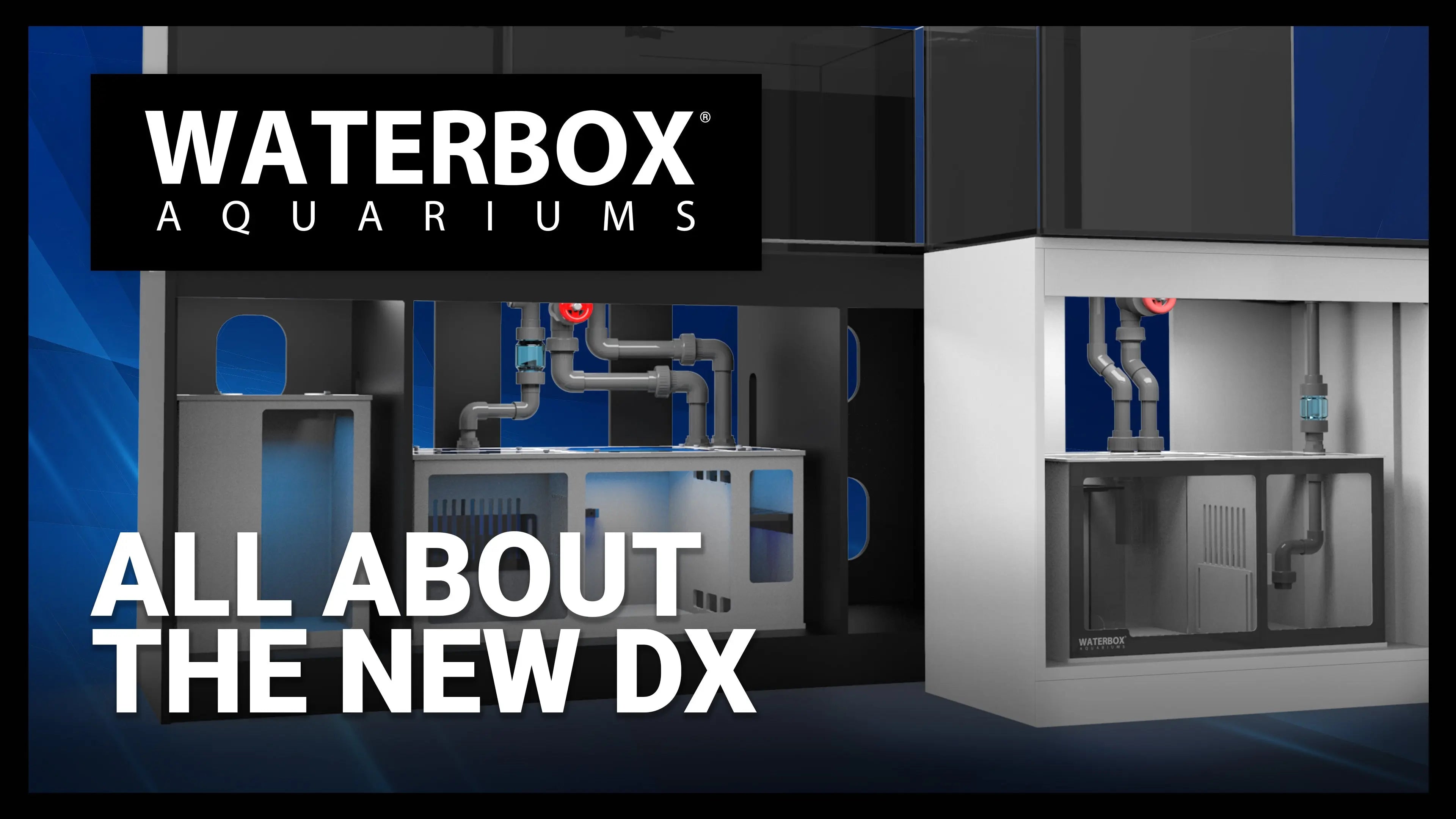 Episode 138 - All About the NEW DX. Waterbox Aquariums
