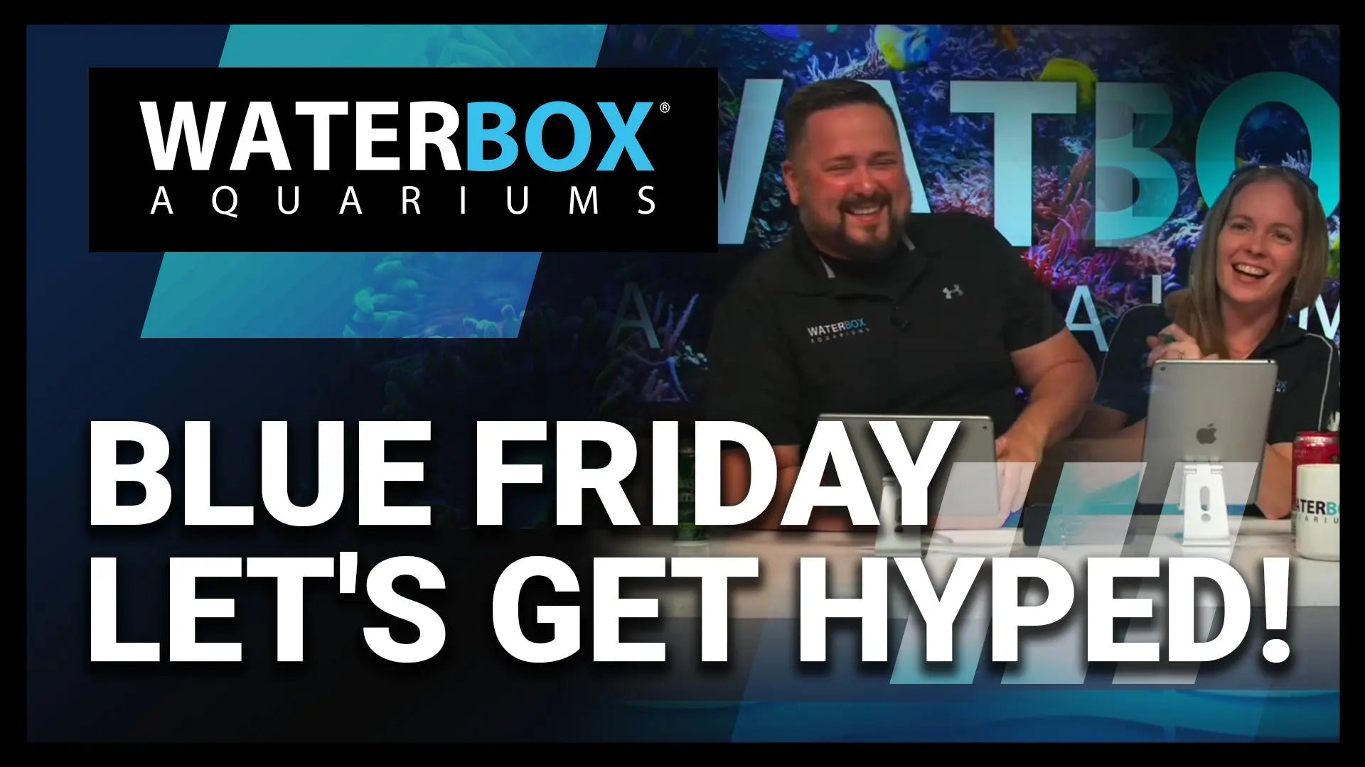 Blue Friday is near. Let's get Hyped! Waterbox Aquariums