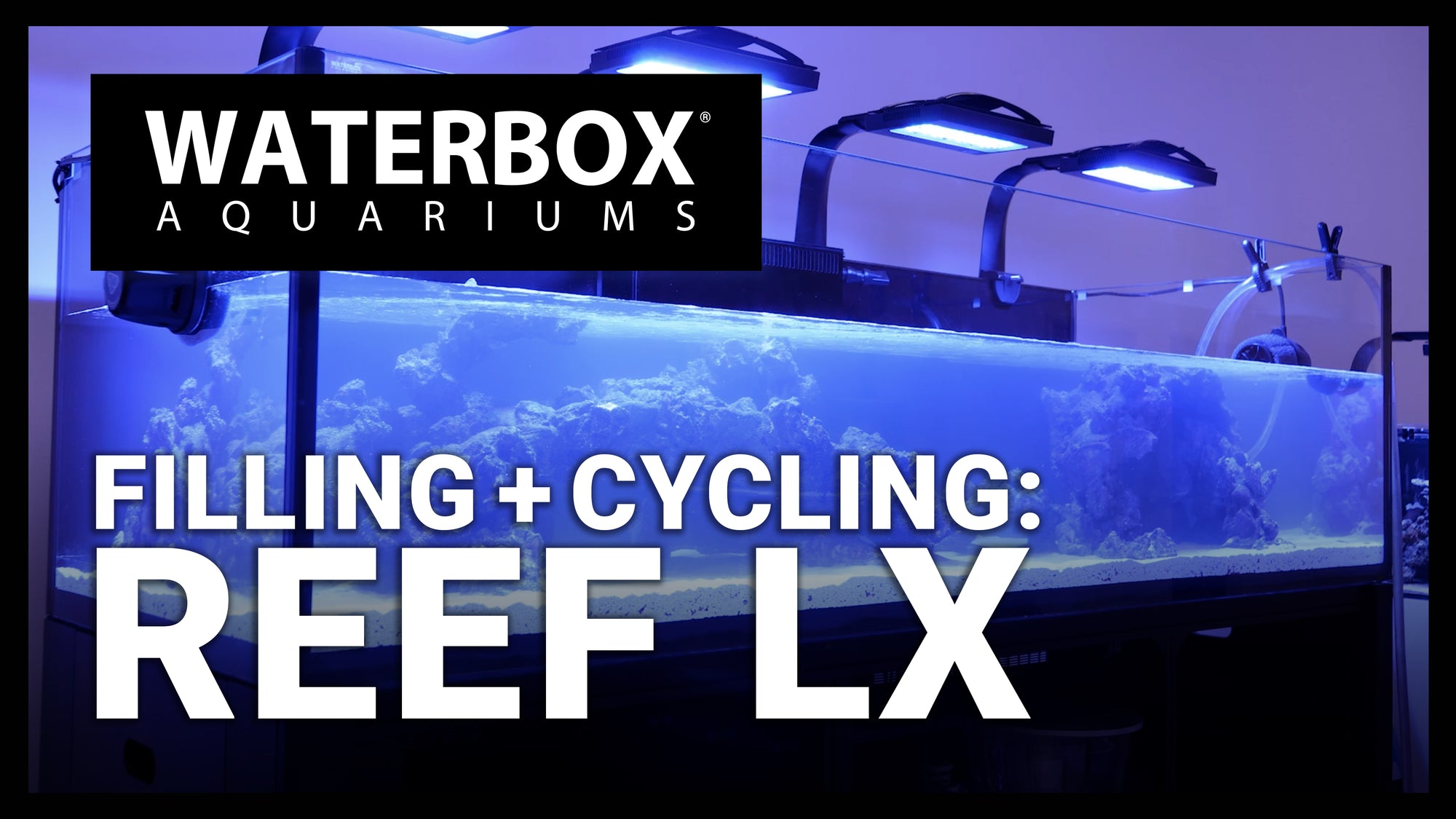 Filling and Cycling the REEF LX