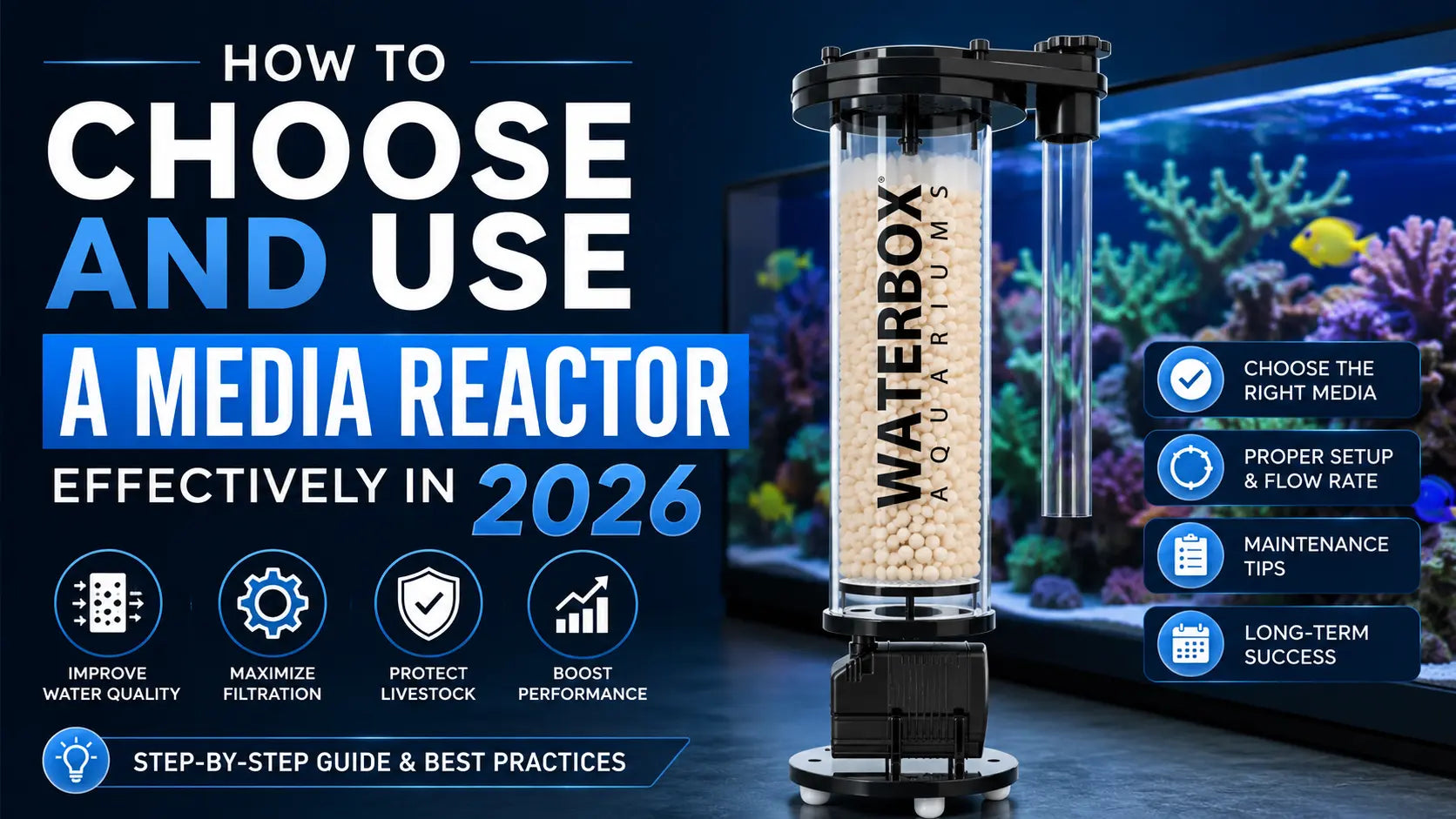 How to Choose and Use a Media Reactor Effectively in 2026 Waterbox Aquariums
