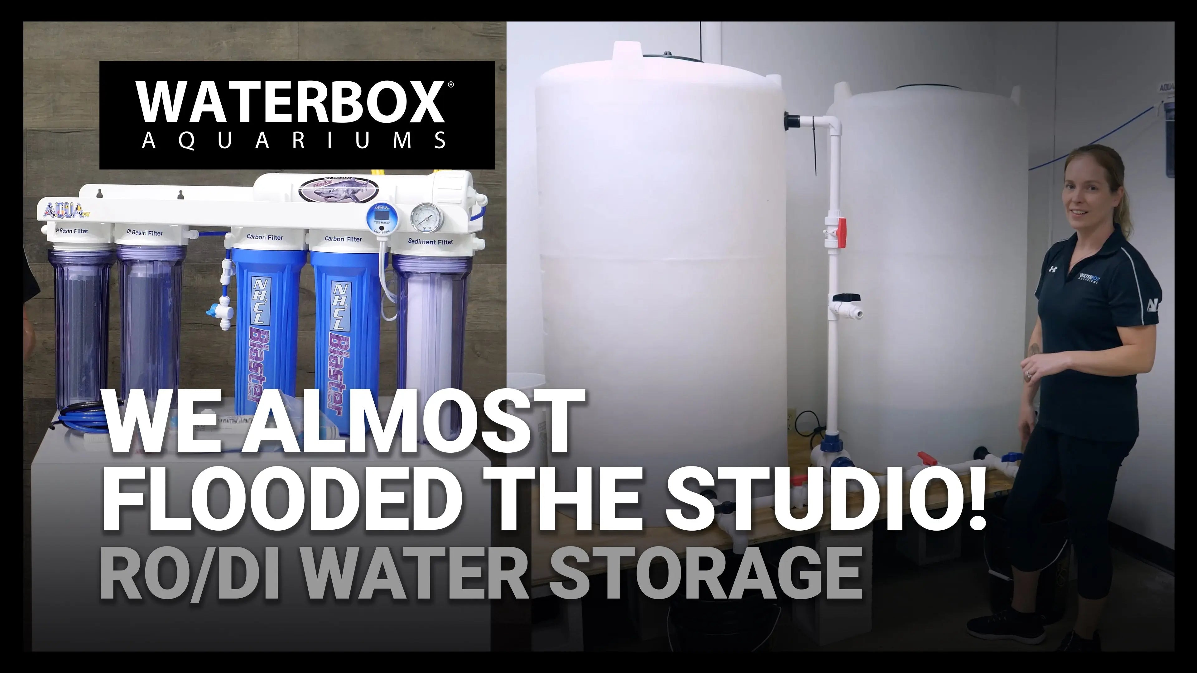We Almost Flooded the Studio! Waterbox Aquariums