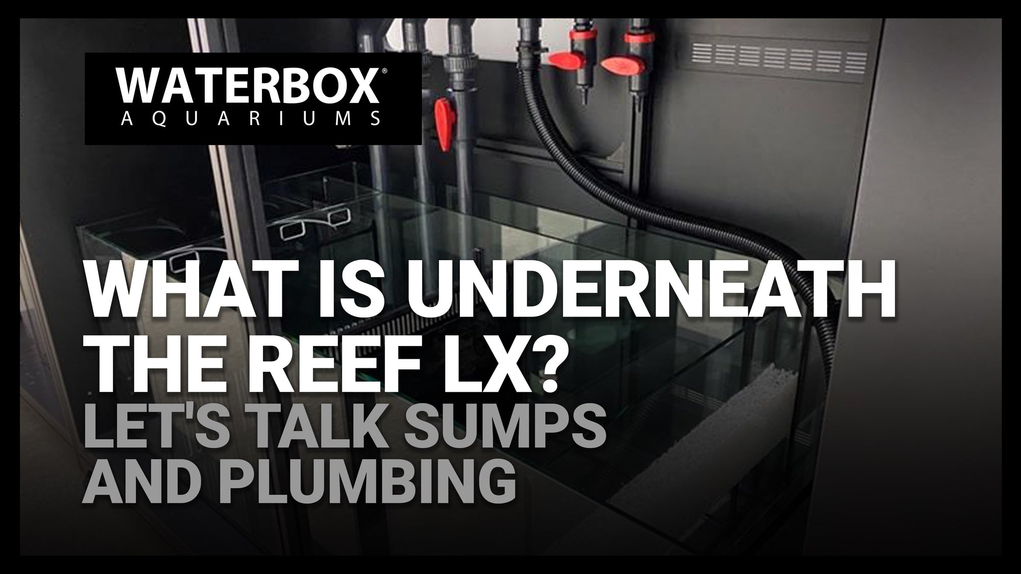 What is underneath the LX? Let's Talk Sumps and Plumbing LIVE