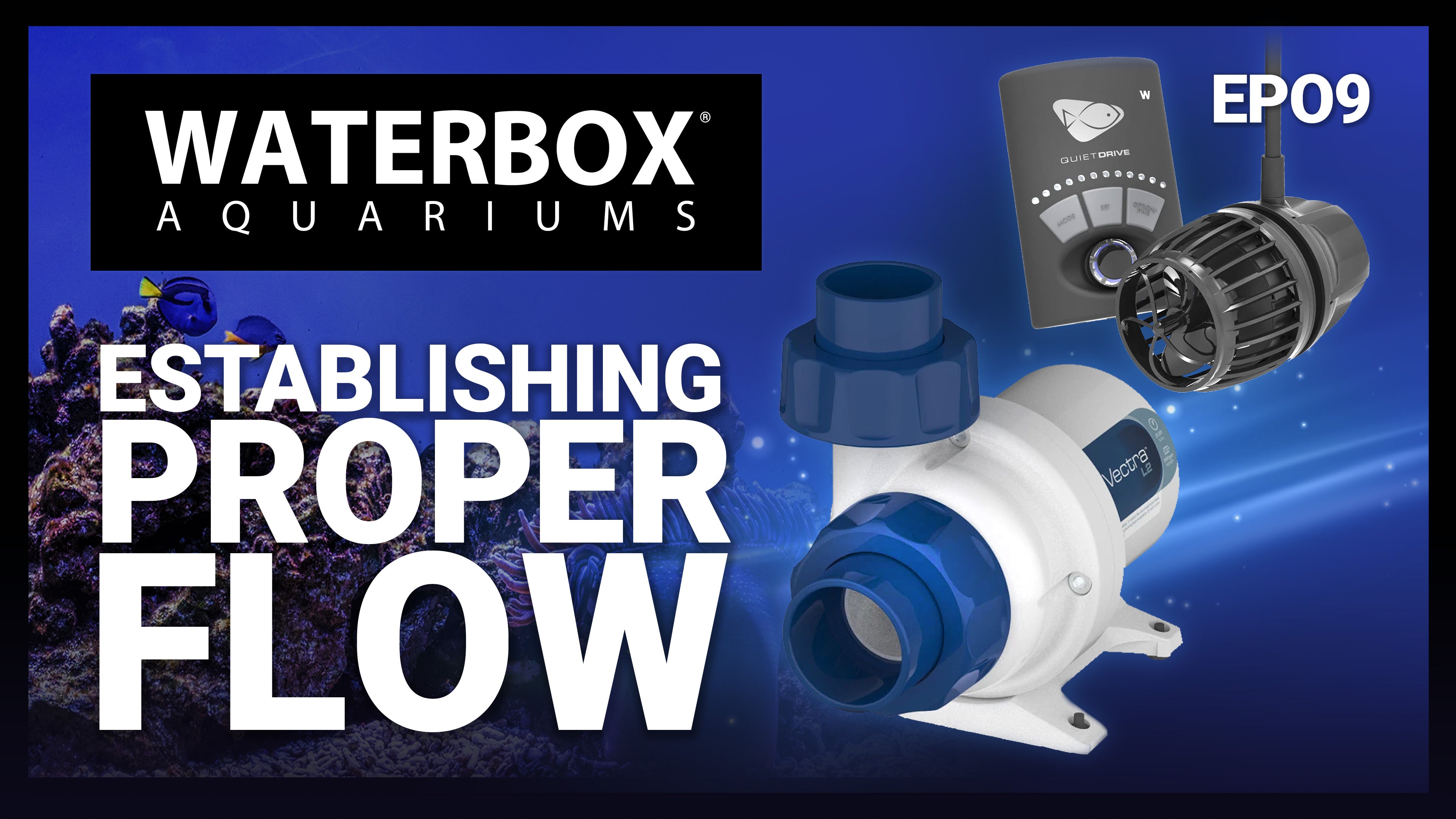 EP09 Establishing Proper Flow | A Guide to Large Reef Aquariums