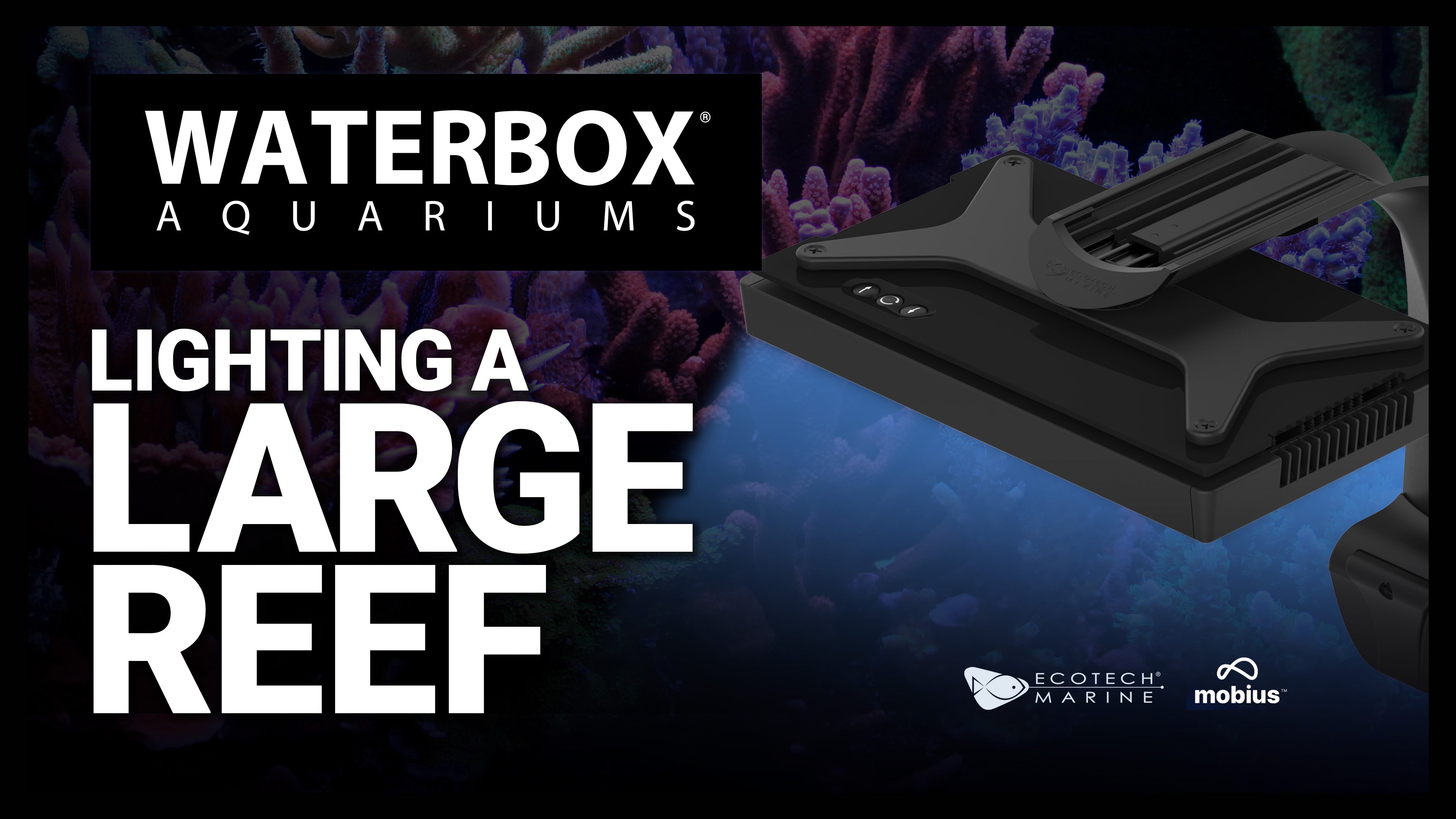 Lighting the REEF LX 320.7