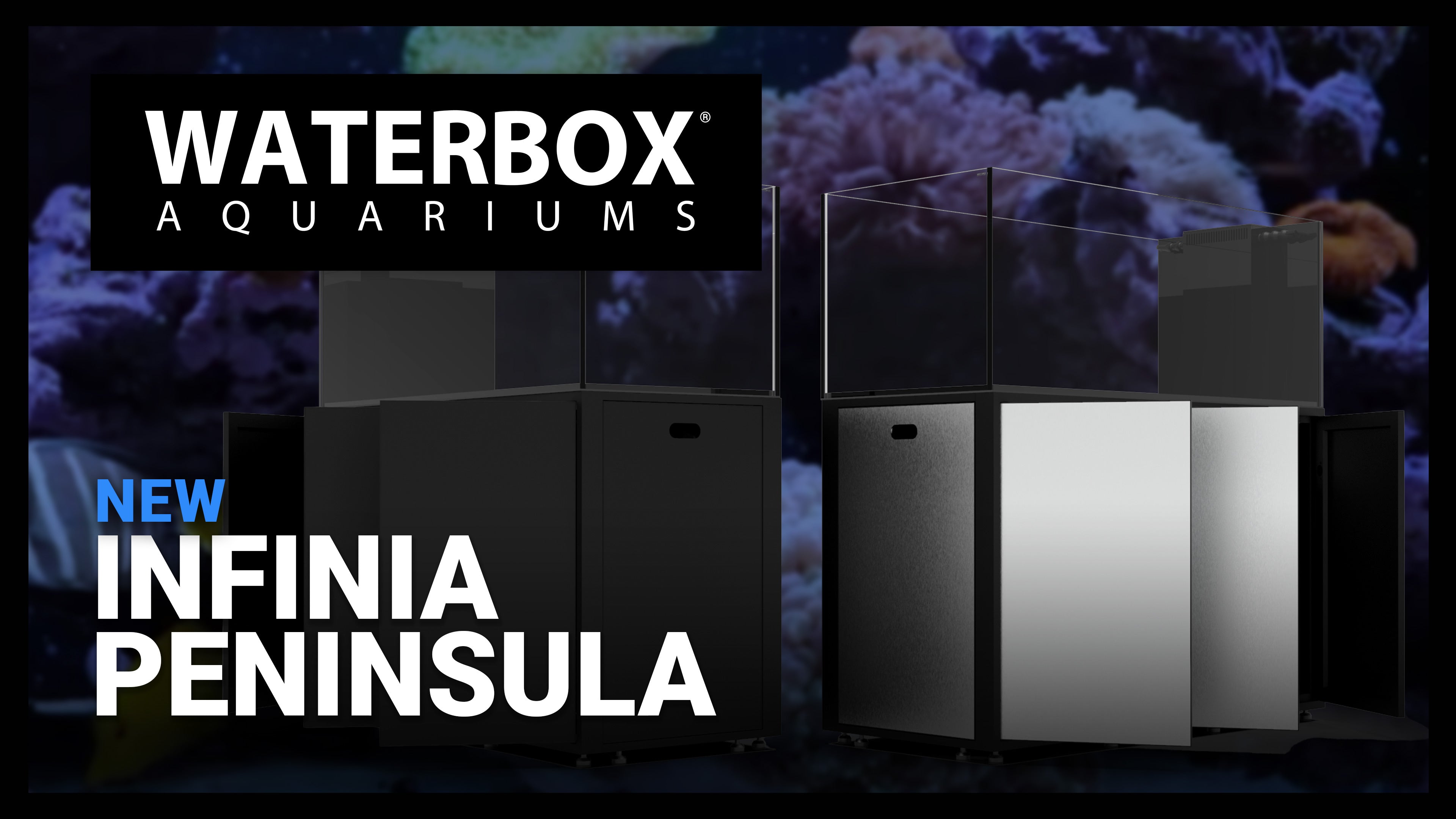 Episode 139: INFINIA PENINSULA - More To Love.