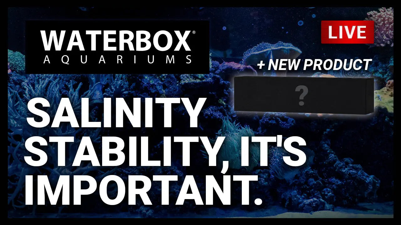 Episode 142: Salinity Stability, It's Important Waterbox Aquariums