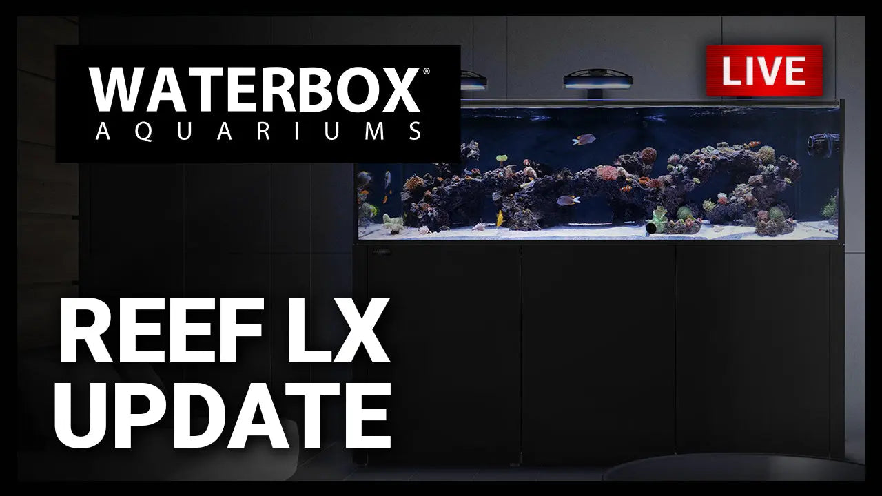 EP144 - REEF LX Update Waterbox Aquariums