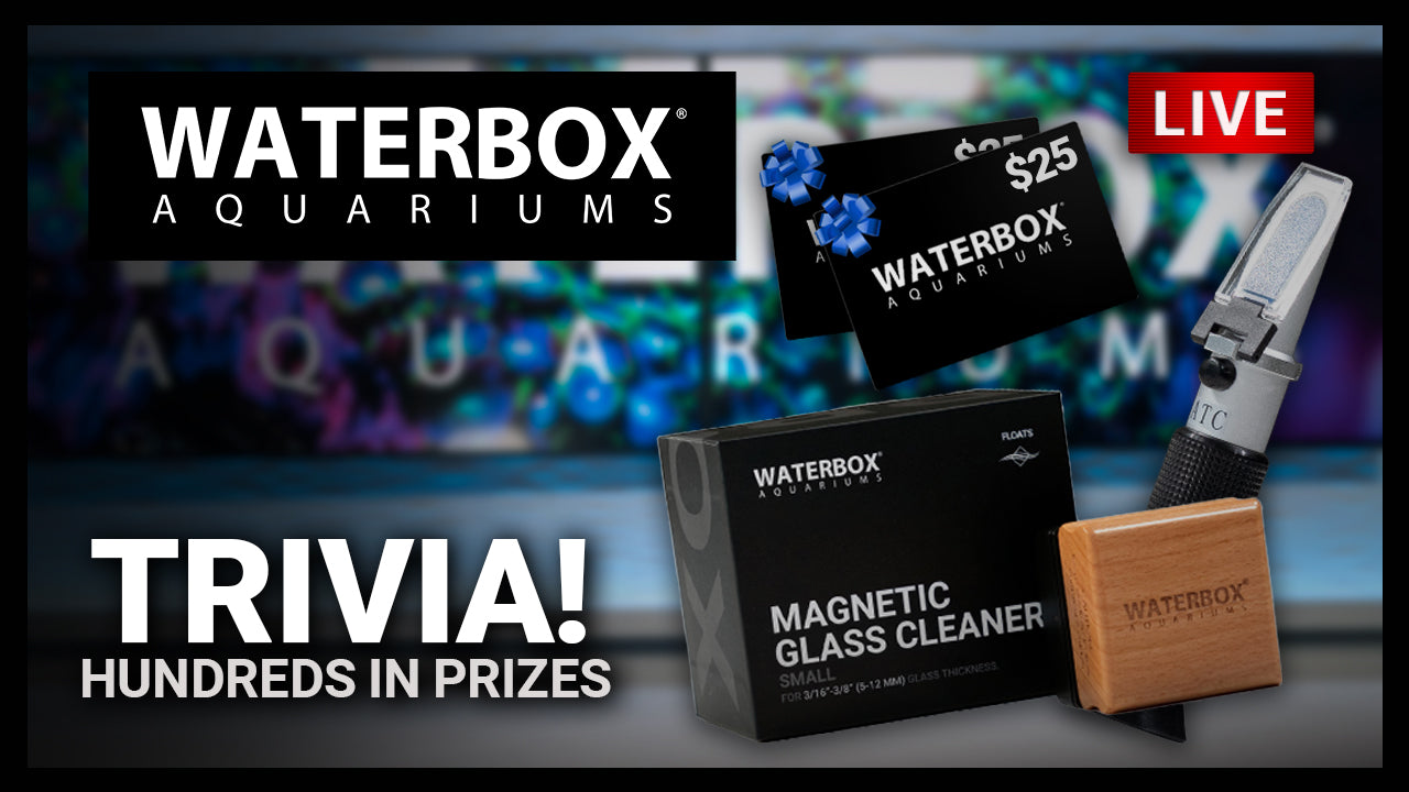 Episode 146: How well do you know Waterbox?  We're giving away hundreds in prizes during this special WATERBOX LIVE.