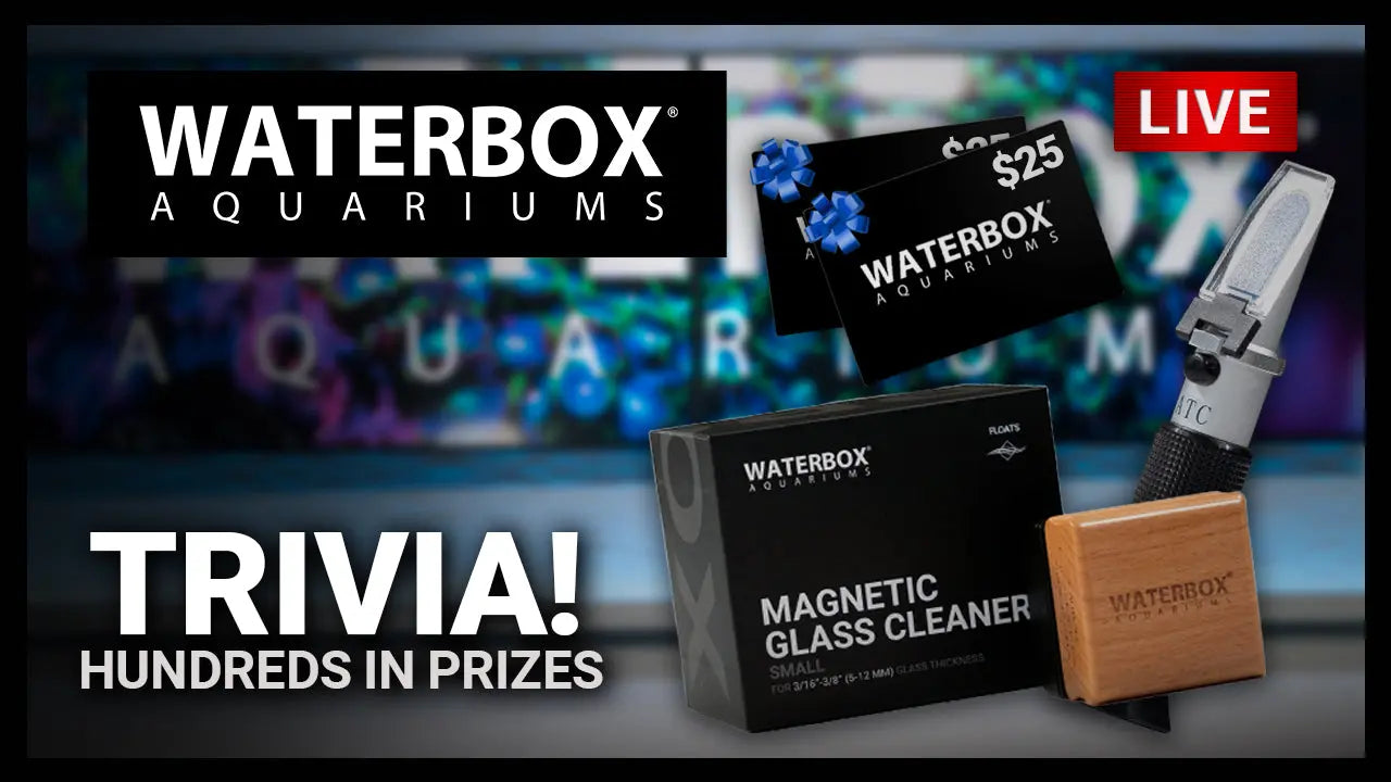 Episode 146: How well do you know Waterbox?  We're giving away hundreds in prizes during this special WATERBOX LIVE. Waterbox Aquariums