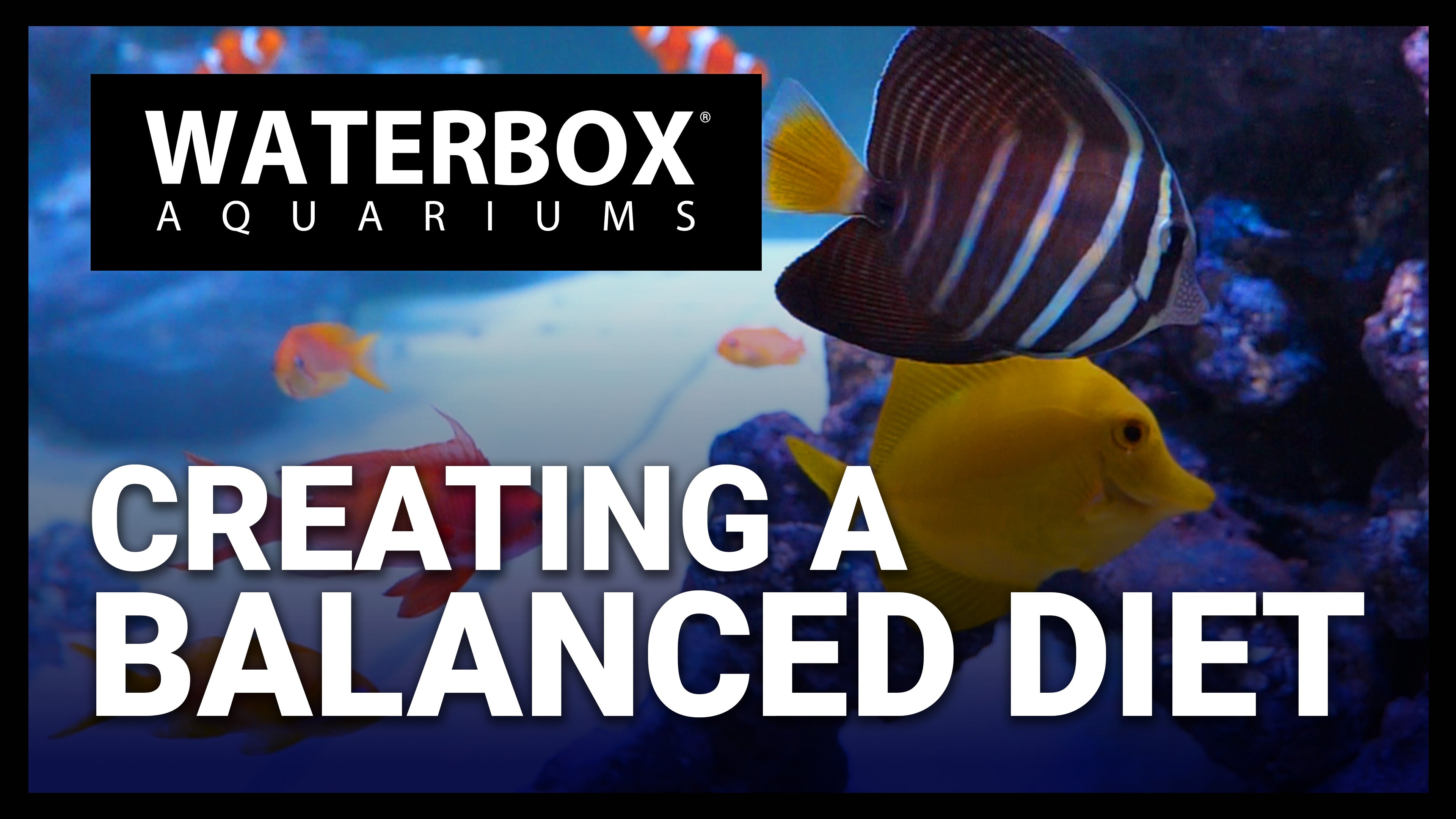 A Balanced Diet for Longevity