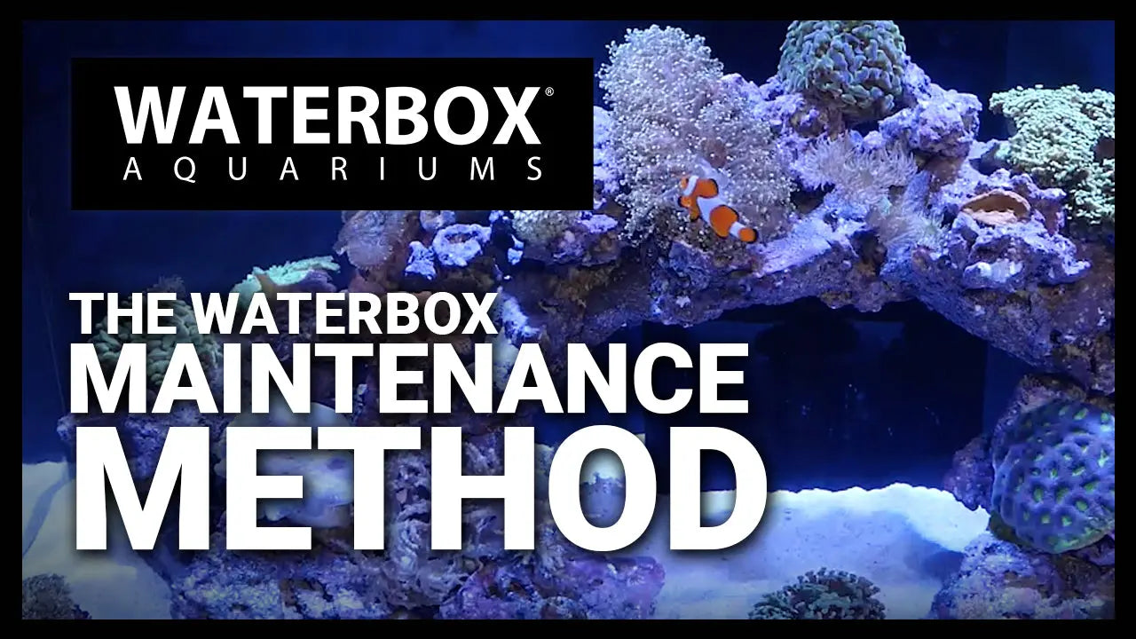 Episode 137 - The Waterbox Method Waterbox Aquariums
