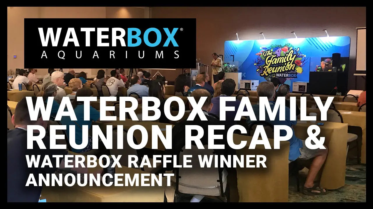 The Family Reunion Raffle Recap and Coral Restoration Foundation Raffle Winner Waterbox Aquariums