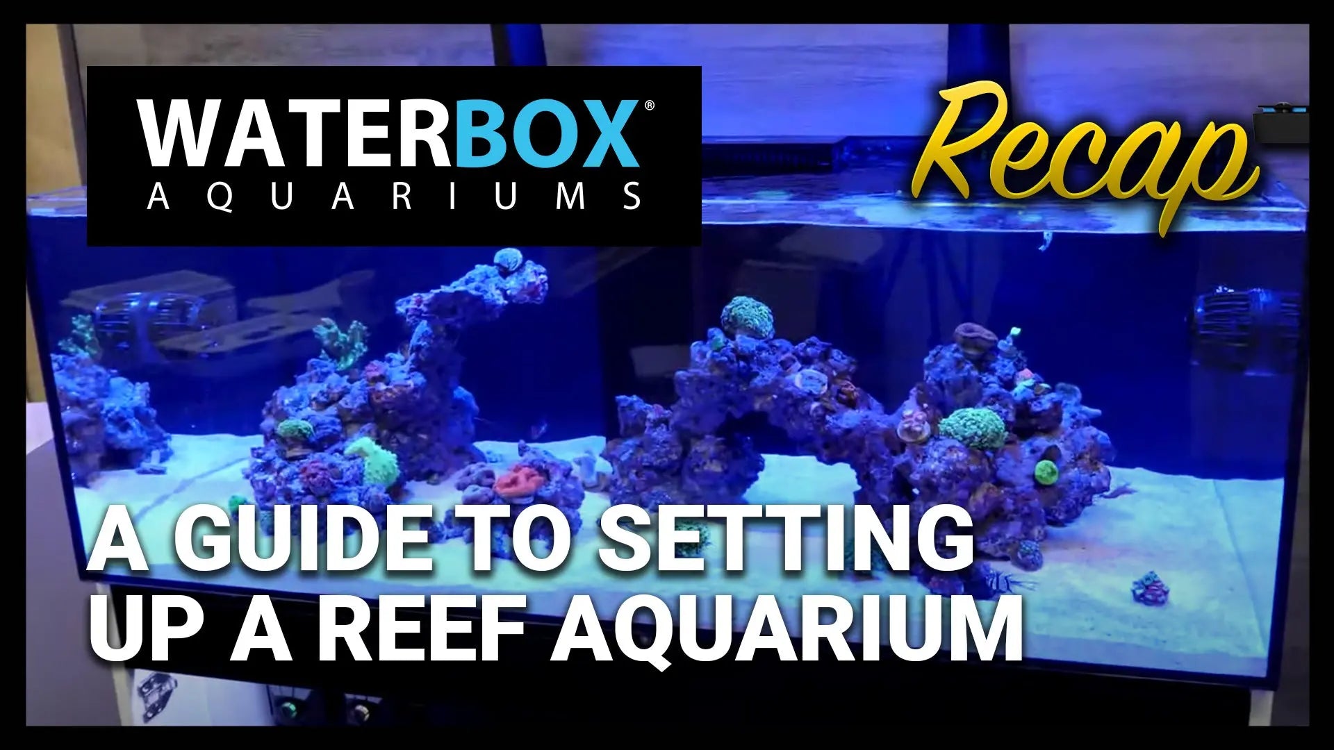 A Guide to Setting Up a Reef Aquarium: Recap Waterbox Aquariums