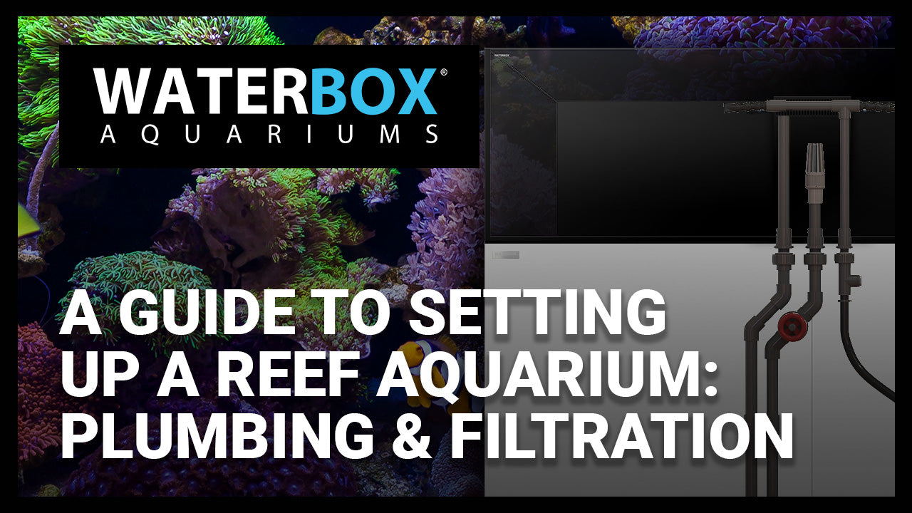 A Guide to Setting Up a Reef Aquarium: Plumbing and Sump Filtraition