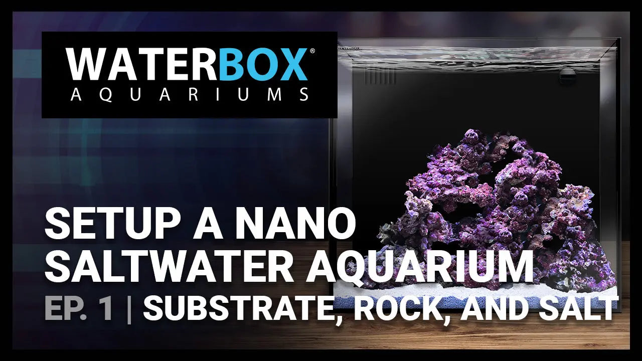 Guide to Setting up a Saltwater Nano Aquarium - #1 - Substrate, Rock, and Salt. Waterbox Aquariums