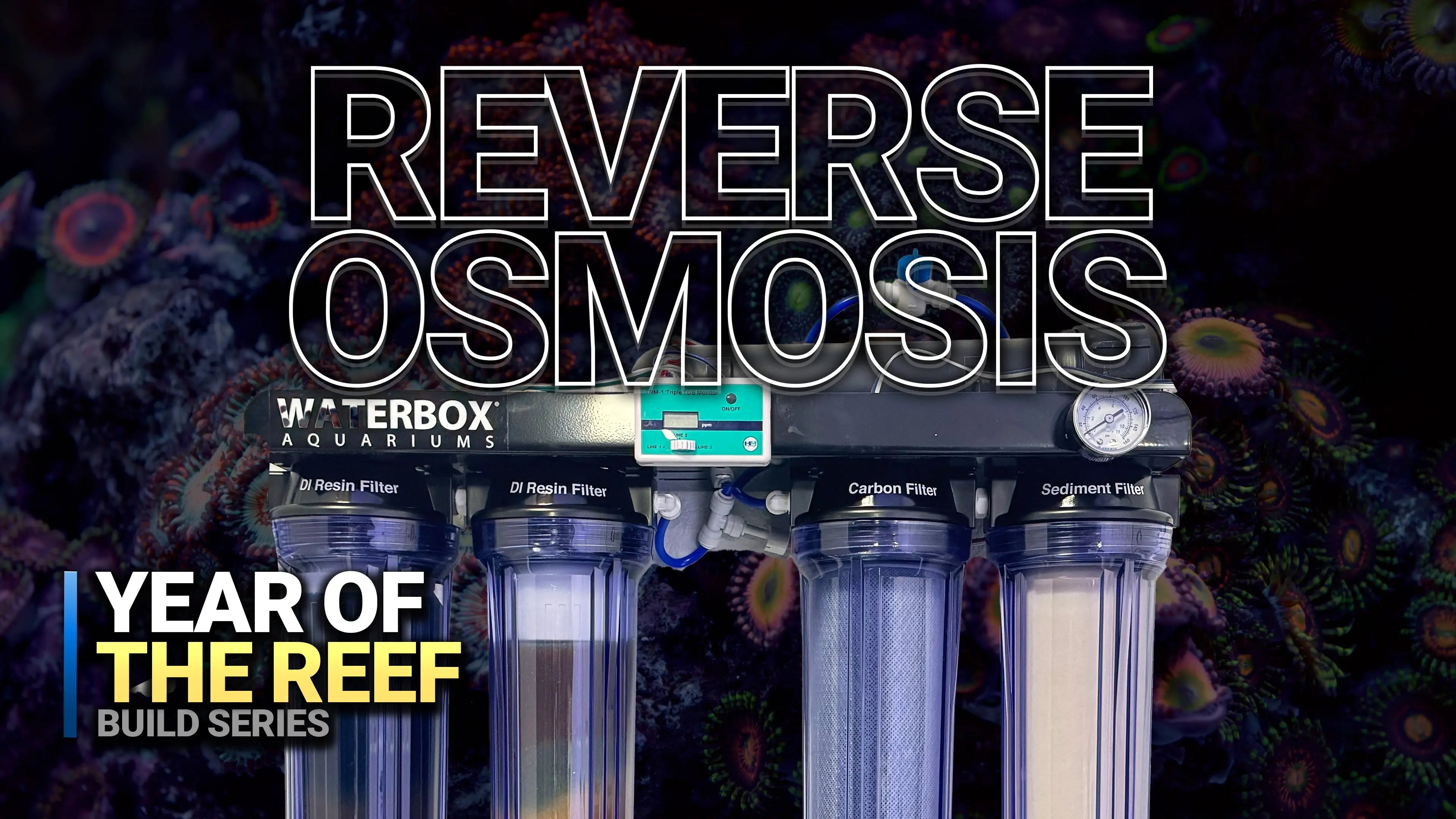 7. Why RO/DI Water is ESSENTIAL for Your Reef Tank Waterbox Aquariums