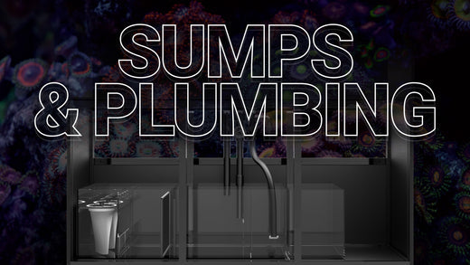 2. Sump Filtration – Why do you need them and how do they work?