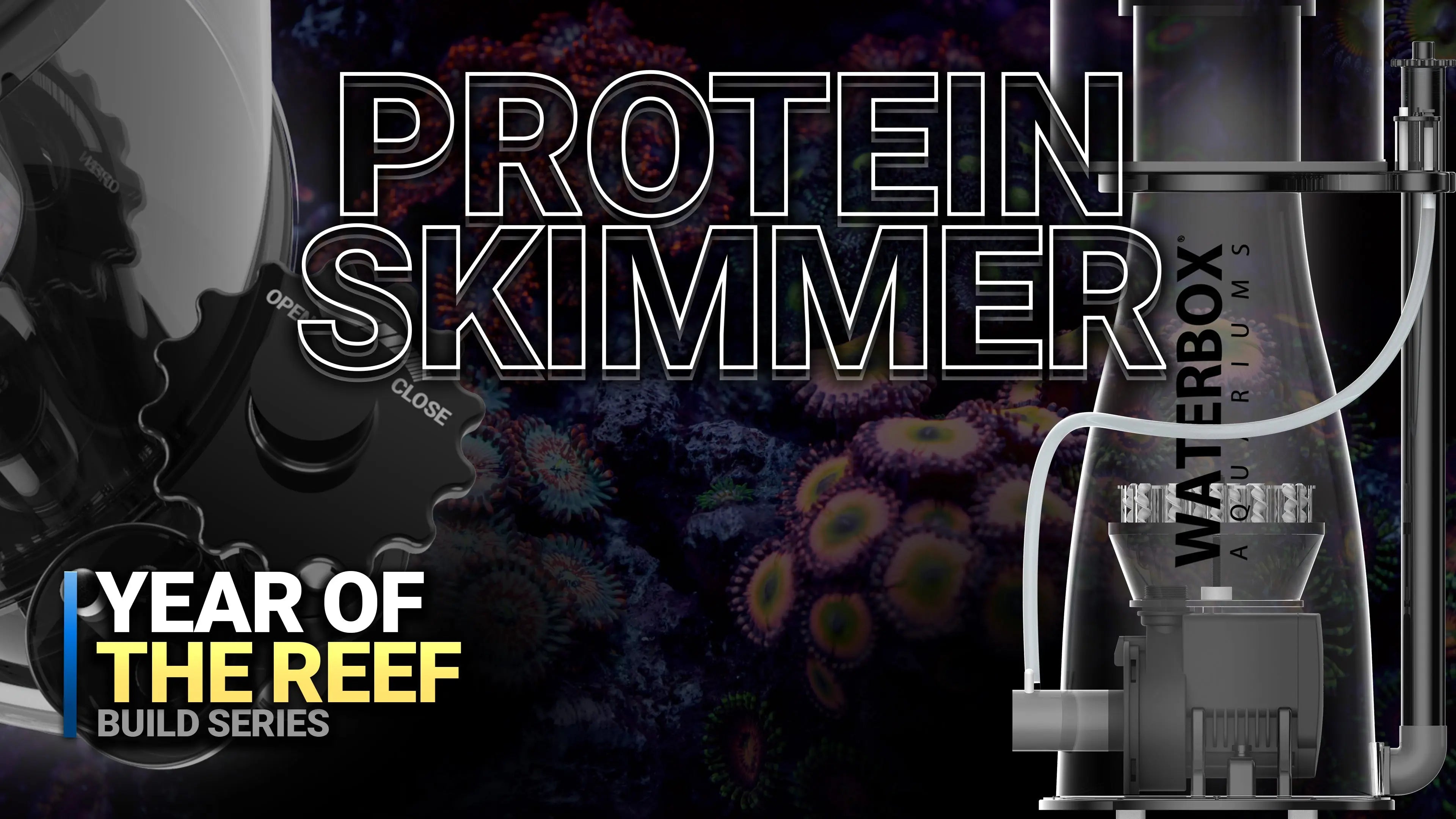 4. Your Aquarium is a Toilet Without THIS! Protein Skimmer Waterbox Aquariums