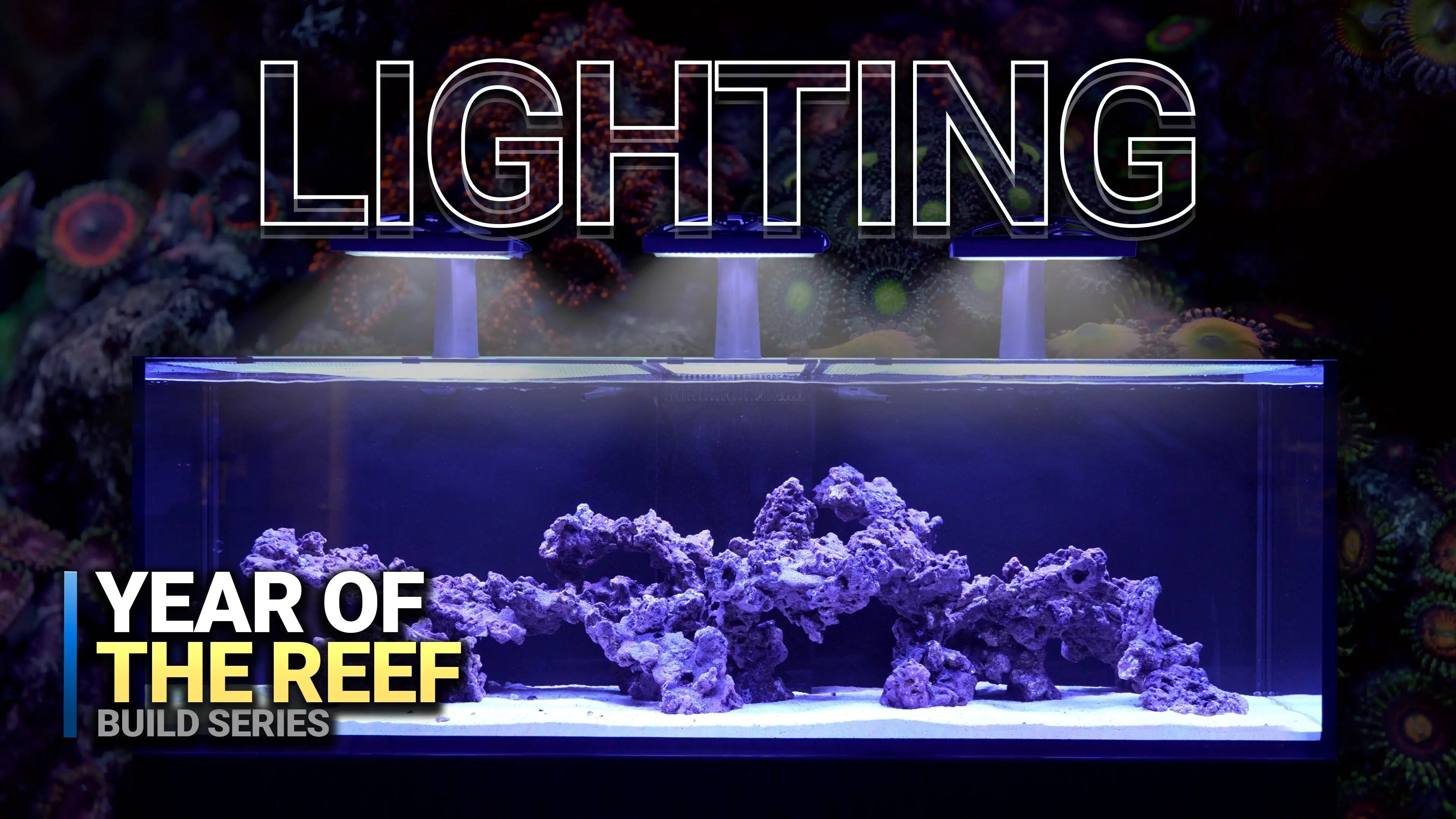 6. The Key to Thriving Corals: Mastering Reef Aquarium Lighting! Waterbox Aquariums