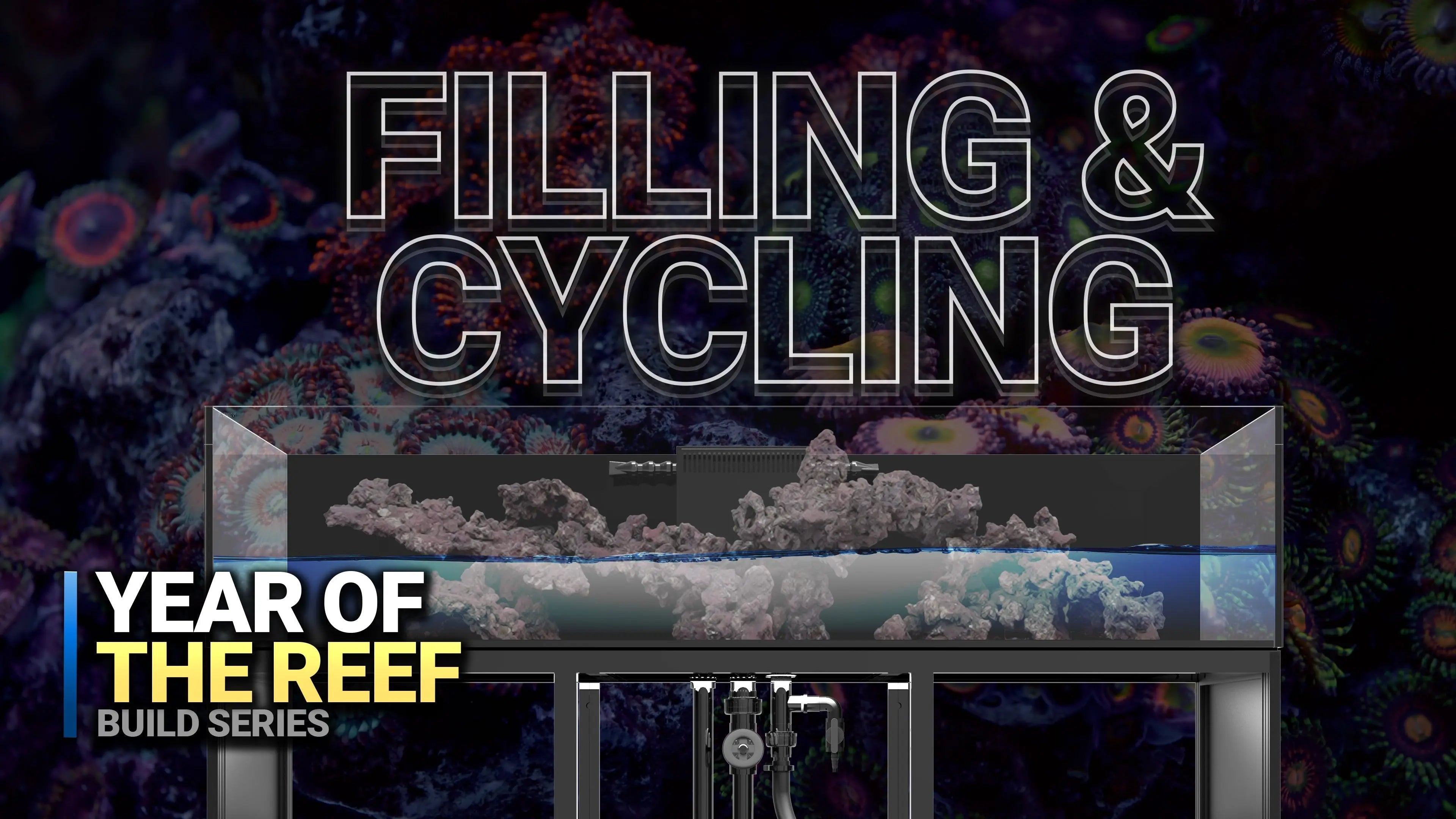 9. The TRUTH About Reef Salt & Aquarium Cycling! Waterbox Aquariums