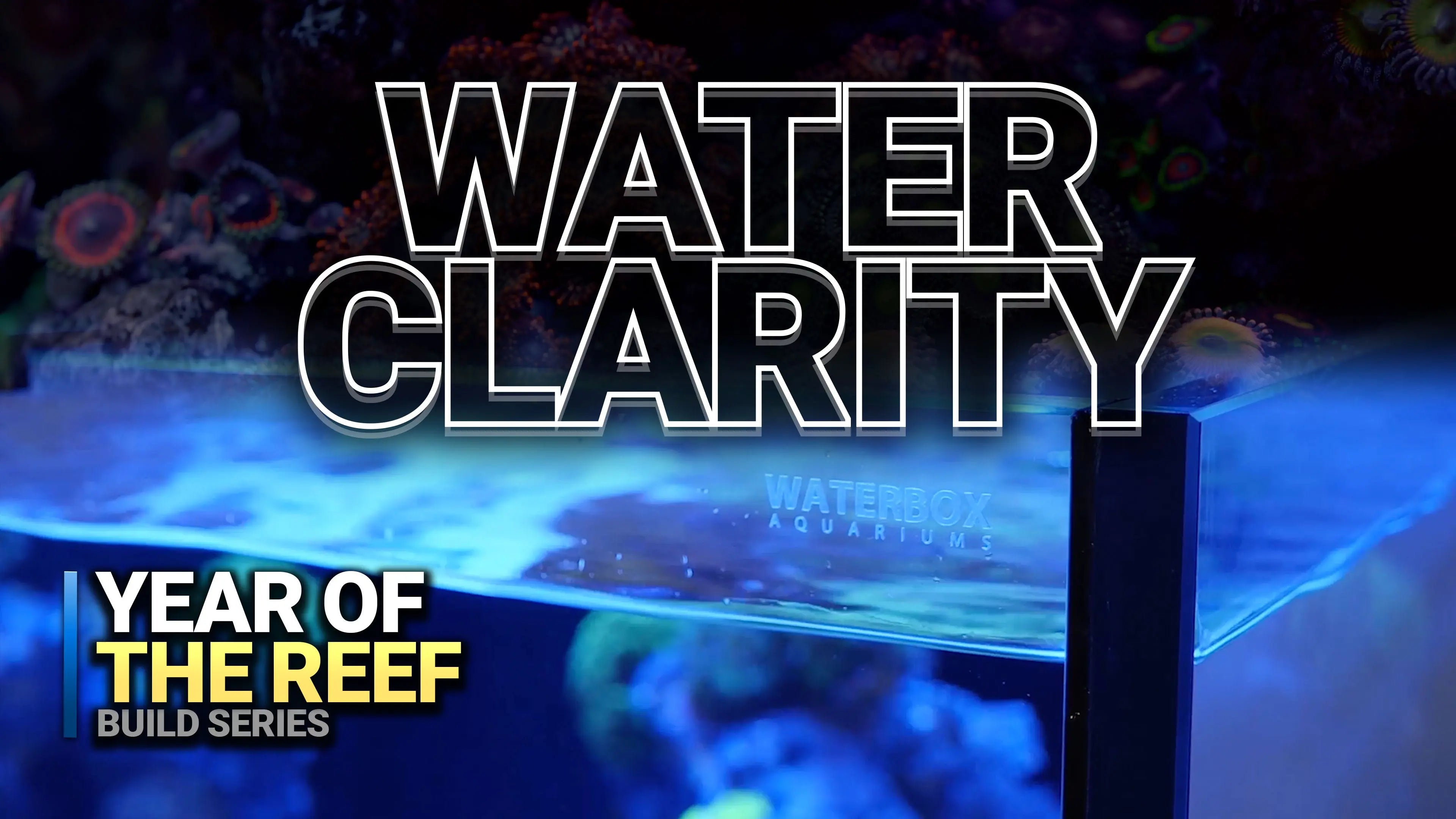 22. Stop Cloudy Water in Your Reef Tank Waterbox Aquariums