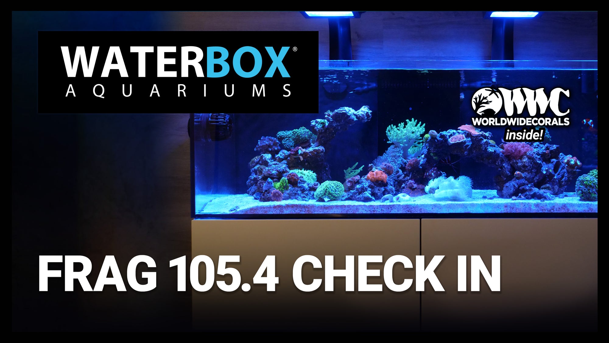 Waterbox FRAG 105.4 aquarium check in