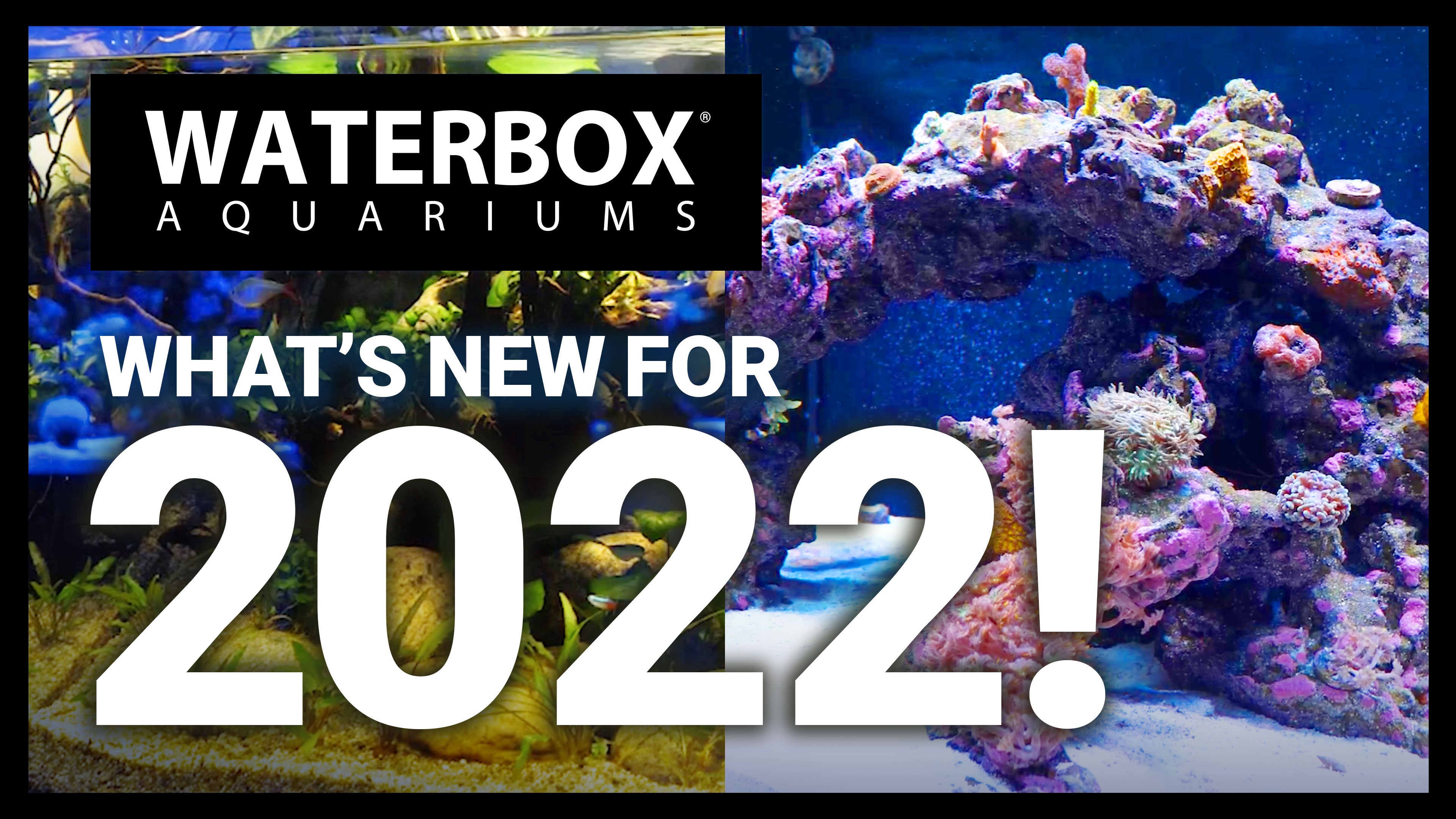 What's New For 2022!