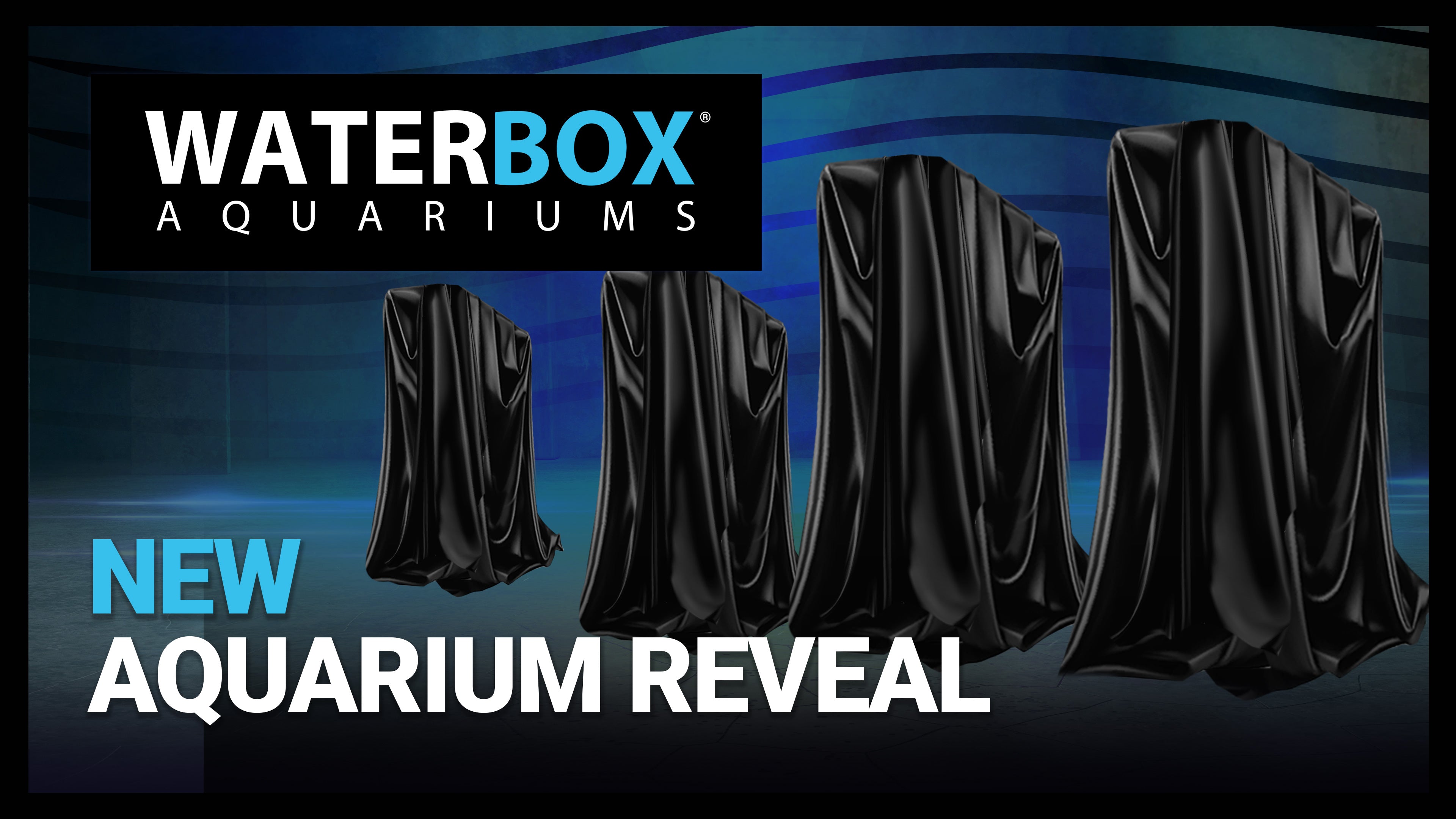 New Aquarium Reveal!