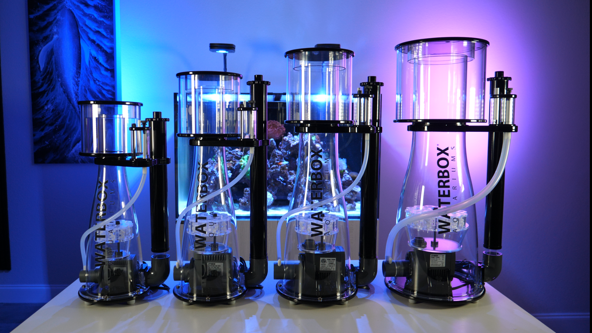 The Importance of a Protein Skimmer in Your Aquarium – Waterbox Aquariums
