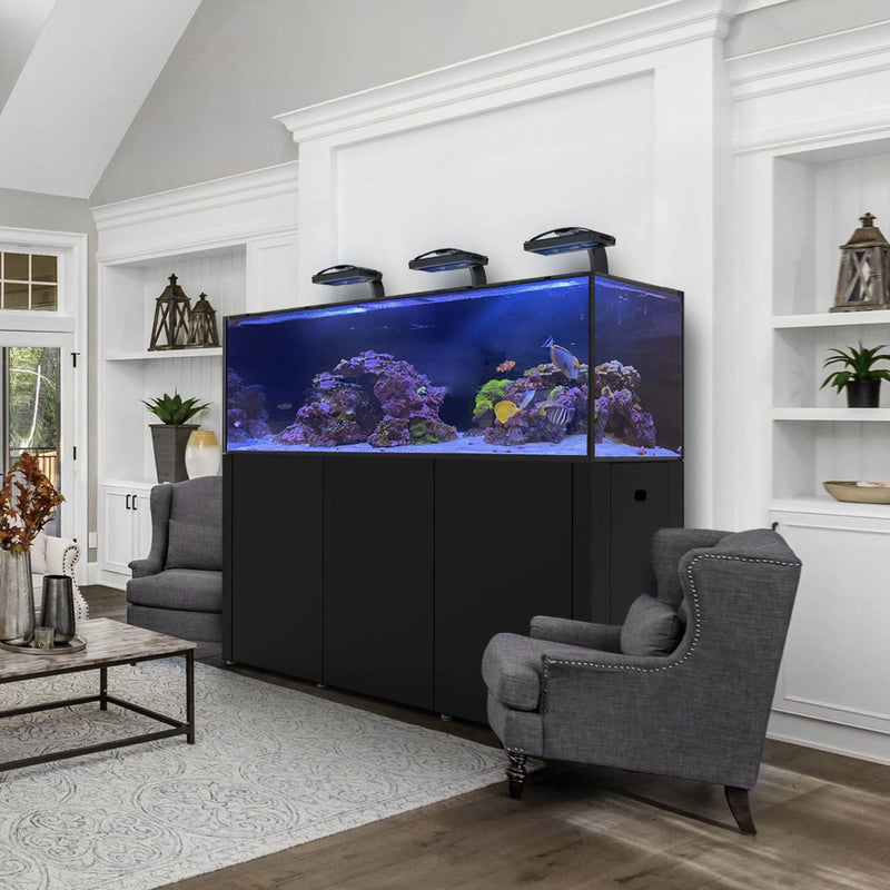 Custom Waterbox Aquariums®