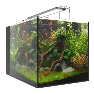 AIO 15 PENINSULA FLED