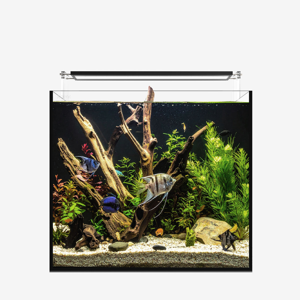 AIO 20 CUBE FW PLUS Edition