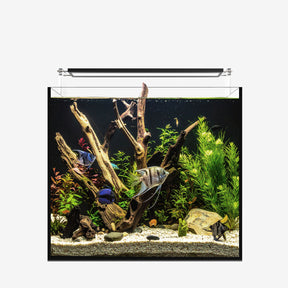 AIO 20 CUBE FW PLUS Edition
