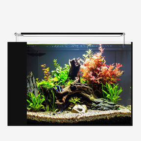 AIO 25 PENINSULA FW PLUS Edition