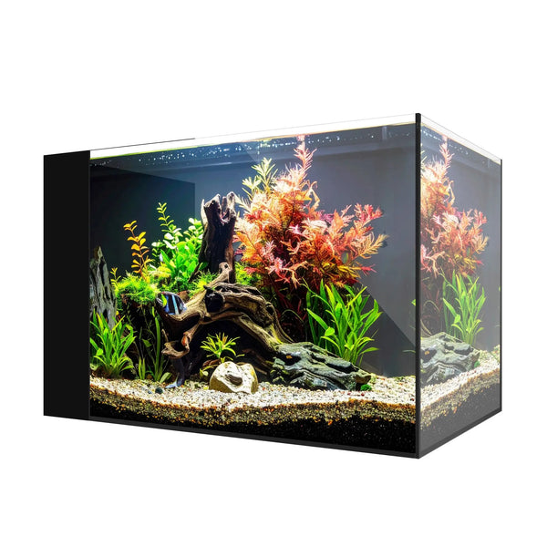 apollo box fish tank Waterbox Aquarium - AIO 25 PENINSULA System Only - All in One Saltwater Fish Tank - Rimless