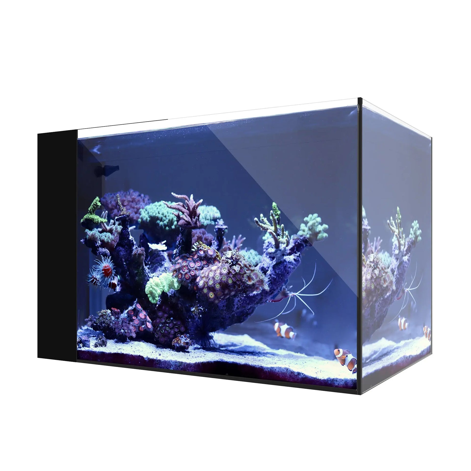 Waterbox Aquariums AIO 25 Peninsula System Only Peninsula Rimless Saltwater Aquarium System