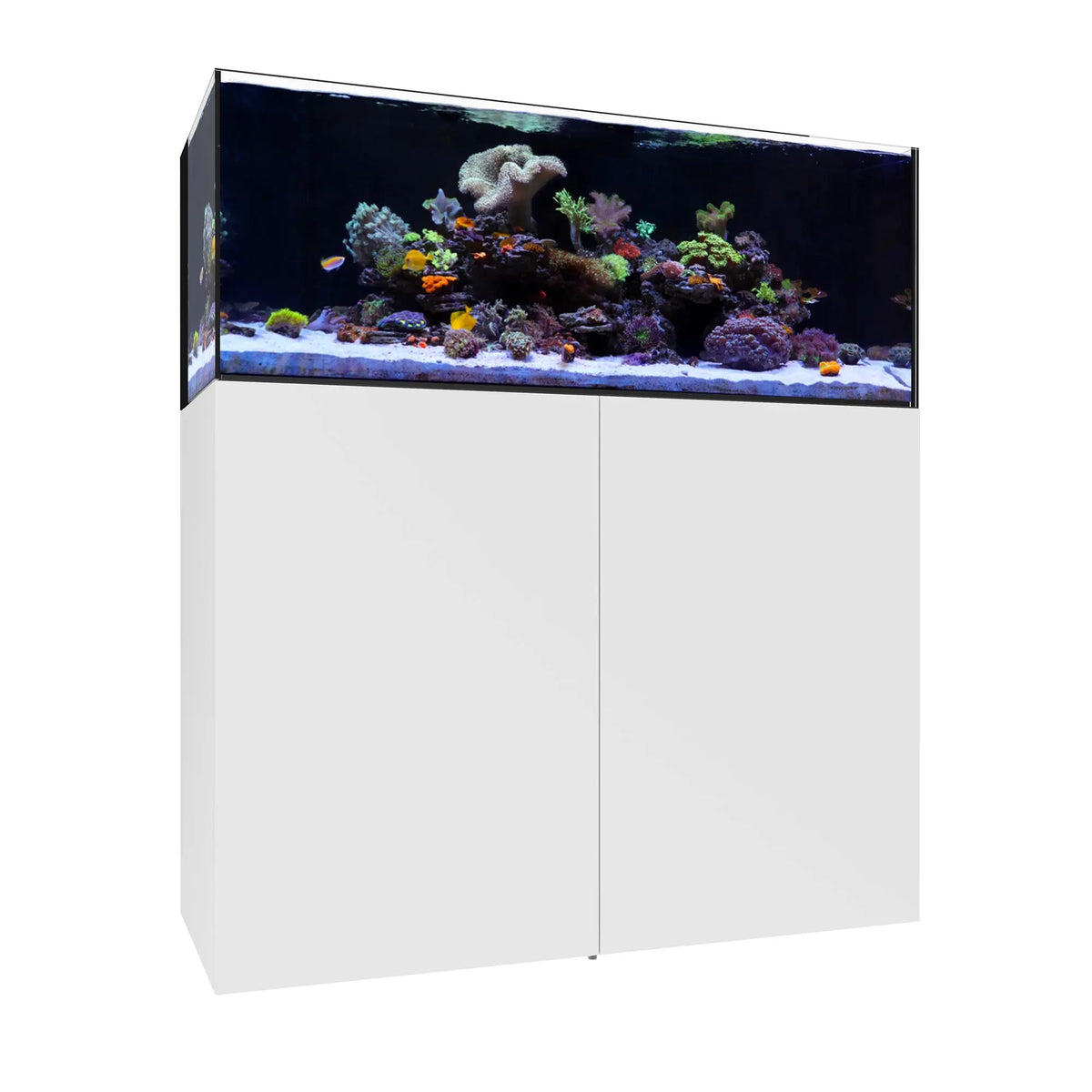 65 gallon fish tank accessories Waterbox Aquariums White AIO 65.4 Aquarium, 65.8 Gallons, Transparent More senses triggered = free glass provides a Size:25LB 0.23mm (4 Strands)-328 Yds daiwa 80