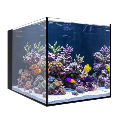 apollo box fish tank AIO 15 PENINSULA