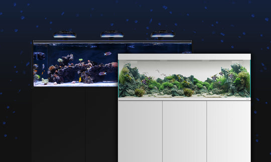 Aquariums - Saltwater Aquariums, Freshwater Aquariums – Waterbox Aquariums