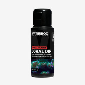 CORAL DIP