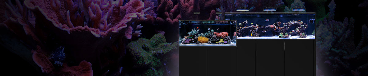 AquaIllumination