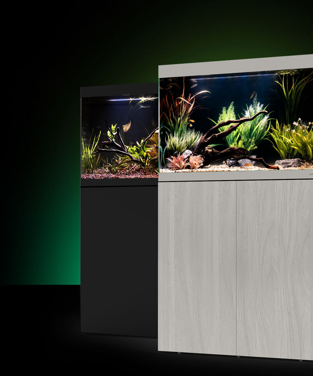 kolonie virtueel Zeug Waterbox Aquariums - Freshwater and Saltwater Aquarium Systems