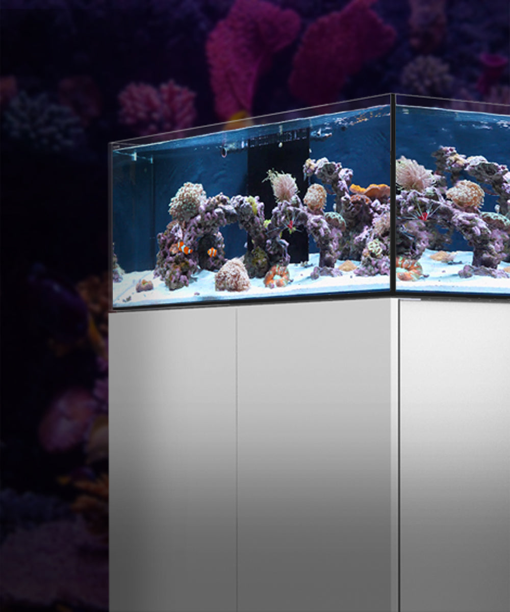 Protein Skimmer with Pump Filter Fish Tank Aquarium Marine Accessory Supply  