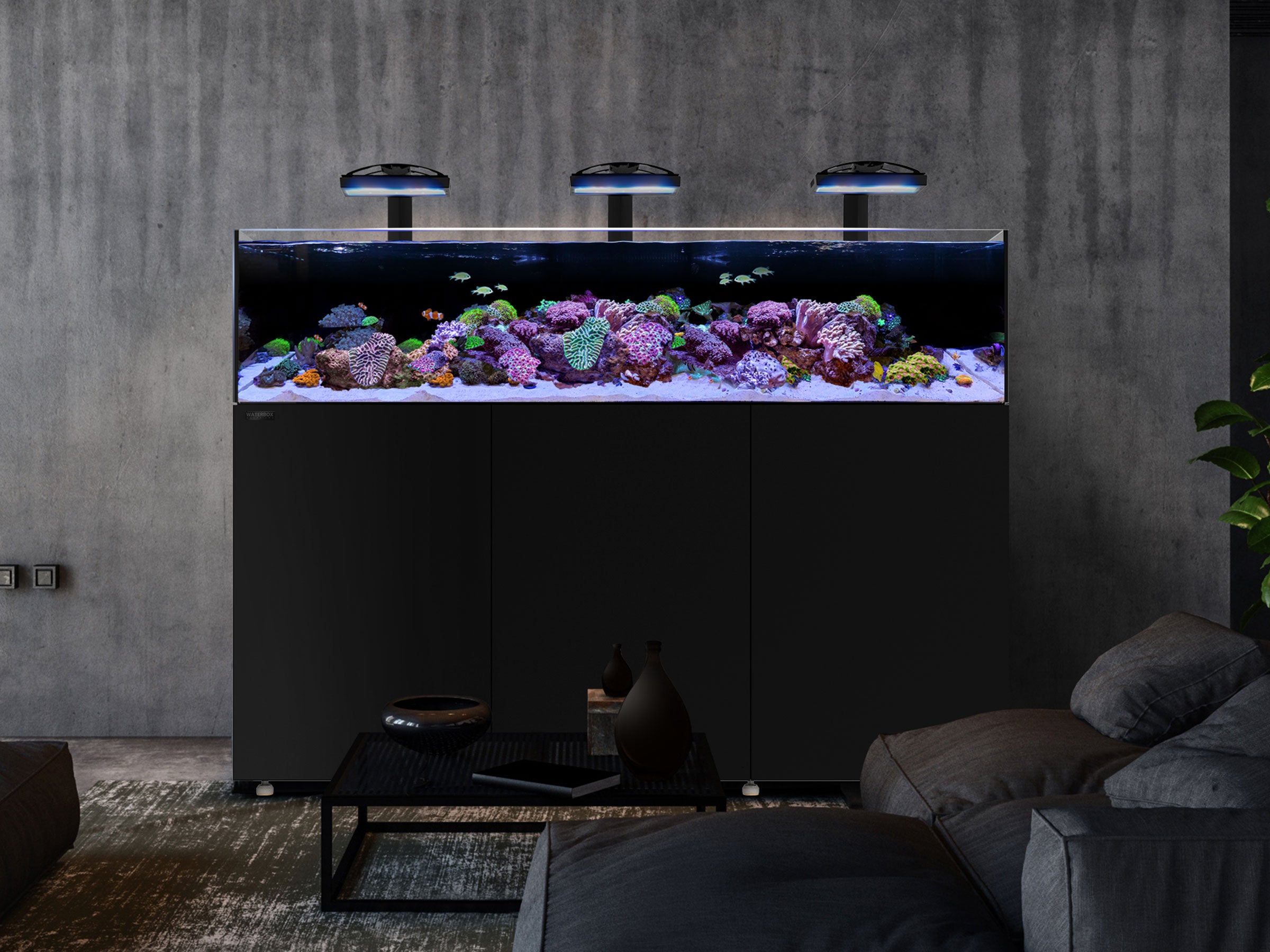 Waterbox Aquariums PENINSULA