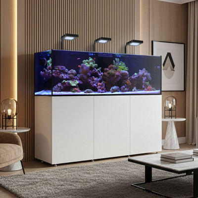 INFINIA Reef 190.5