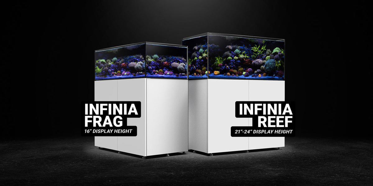 INFINIA Reef 230.6