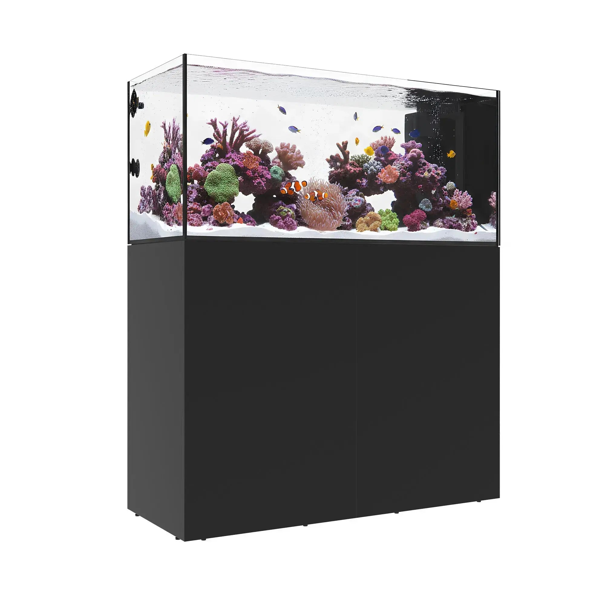 INFINIA PENINSULA 4820 Waterbox Aquariums