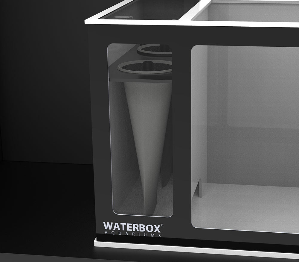 MEX.Socks.jpg?v=1755798705&width=1000