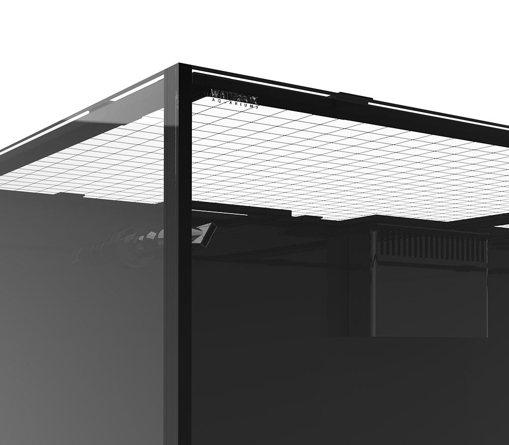 MEX.ultraclear.jpg?v=1760111984&width=1000