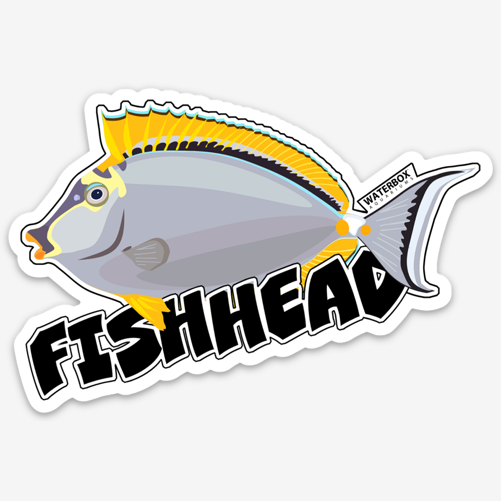 Fishhead - Mango Sticker